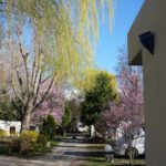 Camping le Segre en Bourg-Madame
