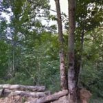 Camping lugo en Esperante (Lugo)