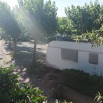 R U Ready Fishing Camping River Ebro en Vilanova de Prades (Tarragona)