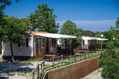 Camping municipal La Pine en Banyuls-sur-Mer