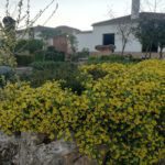 Casa Rural El Cuartico en Villanueva de la Fuente (Ciudad Real)