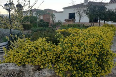 Casa Rural El Cuartico en Villanueva de la Fuente (Ciudad Real)