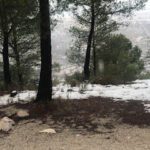 Casa rural pinar del rey en Vélez-Blanco (Almería)