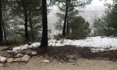 Casa rural pinar del rey en Vélez-Blanco (Almería)
