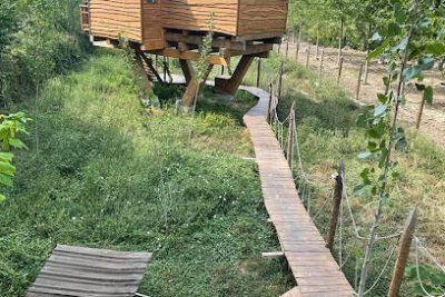 Durmiendo entre árboles en Anguciana (La Rioja)