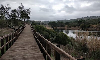 ESA (Estação de Serviço Autocaravanas) en Cabeção
