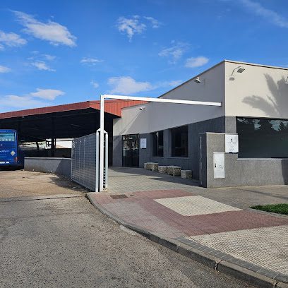 Estación de Autobuses en Alcázar de San Juan (Ciudad Real)