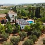 Finca El Almendral en Montilla (Córdoba)