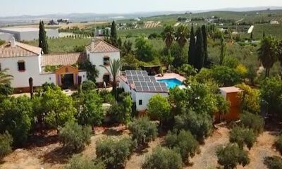 Finca El Almendral en Montilla (Córdoba)