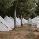 Glamping Viña Rock en Villarrobledo (Albacete)