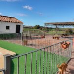 LA SALUD casa rural en Posadas (Córdoba)