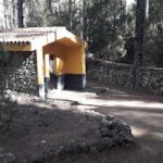 Las Hayas en Icod de los Vinos (Santa Cruz de Tenerife)