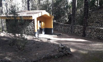 Las Hayas en Icod de los Vinos (Santa Cruz de Tenerife)