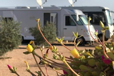Los Olivos Camper Park (Cerrado por mejoras en el Área del 1 de junio al 14 de septiembre) en Los Puertos (Murcia)