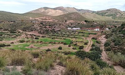 Mountain View Camp Site en Huércal-Overa (Almería)