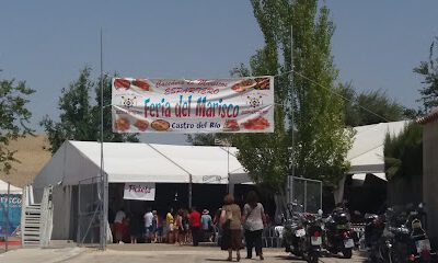 Parque de Autocaravanas de Castro del Río en Castro del Río (Córdoba)