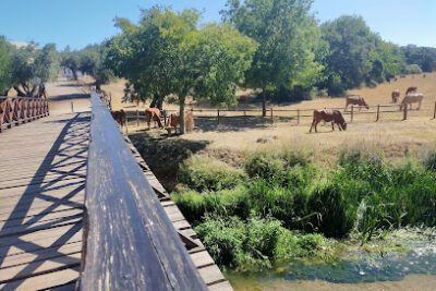 Parque de Campismo Olhos de Água en Louriceira
