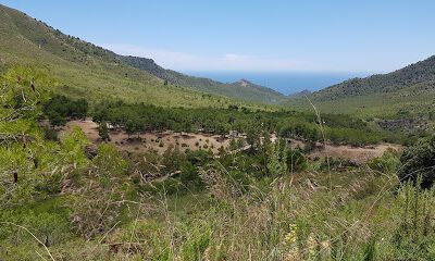 Pinarillos en Nerja (Málaga)