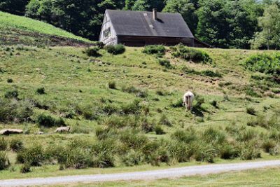 Plateau d´Iraty-Cize en Lecumberry