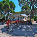Recepcio Camping Treumal en San Antonio de Calonge (Girona)