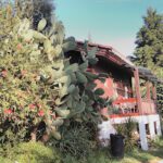 Redondo Lodges & Camping en Tomar