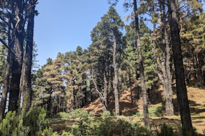 Refugio del Pilar en El Paso (Santa Cruz de Tenerife)