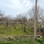 SURRECREO en Zaragoza (Zaragoza)