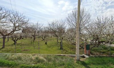 SURRECREO en Zaragoza (Zaragoza)