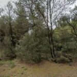 Zona Acampada Bodegas Oller del Mas en Abrera (Barcelona)