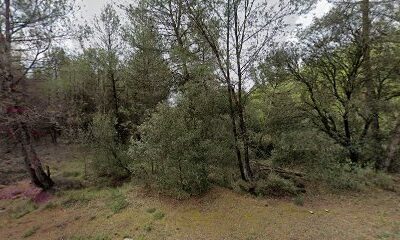 Zona Acampada Bodegas Oller del Mas en Abrera (Barcelona)