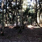 Zona De Acampada De La Tahona en San Juan de la Rambla (Santa Cruz de Tenerife)