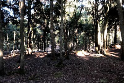 Zona De Acampada De La Tahona en San Juan de la Rambla (Santa Cruz de Tenerife)
