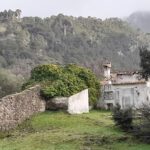 Zona de Acampada Controlada Los Sauces en El Burgo (Málaga)