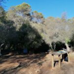 Zona de Acampada Controlada de Torrijos en Málaga (Málaga)