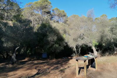 Zona de Acampada Controlada de Torrijos en Málaga (Málaga)