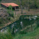 Zona de Acampada El Regajo en Fuente la Higuera (Valencia)
