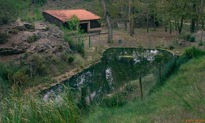 Zona de Acampada El Regajo en Fuente la Higuera (Valencia)