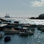 Zona de Acampada San Miguel de Tajao en San Miguel de Tajao (Santa Cruz de Tenerife)