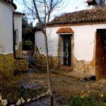 Albergue rural Las Cabañas de Buffalos en Cumbres Mayores (Huelva)