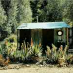 cactus lodge camping en Bítem (Tarragona)