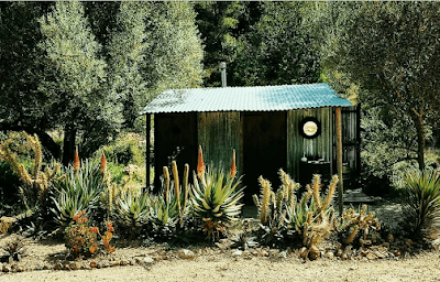 cactus lodge camping en Bítem (Tarragona)