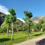 Camping del Remei en El Pont de Suert (Lleida)
