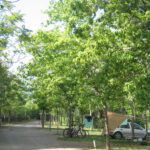 Camping Trevélez en Trevélez (Granada)