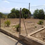 finca xela en Turís (Valencia)