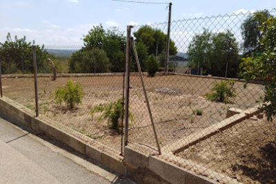 finca xela en Turís (Valencia)
